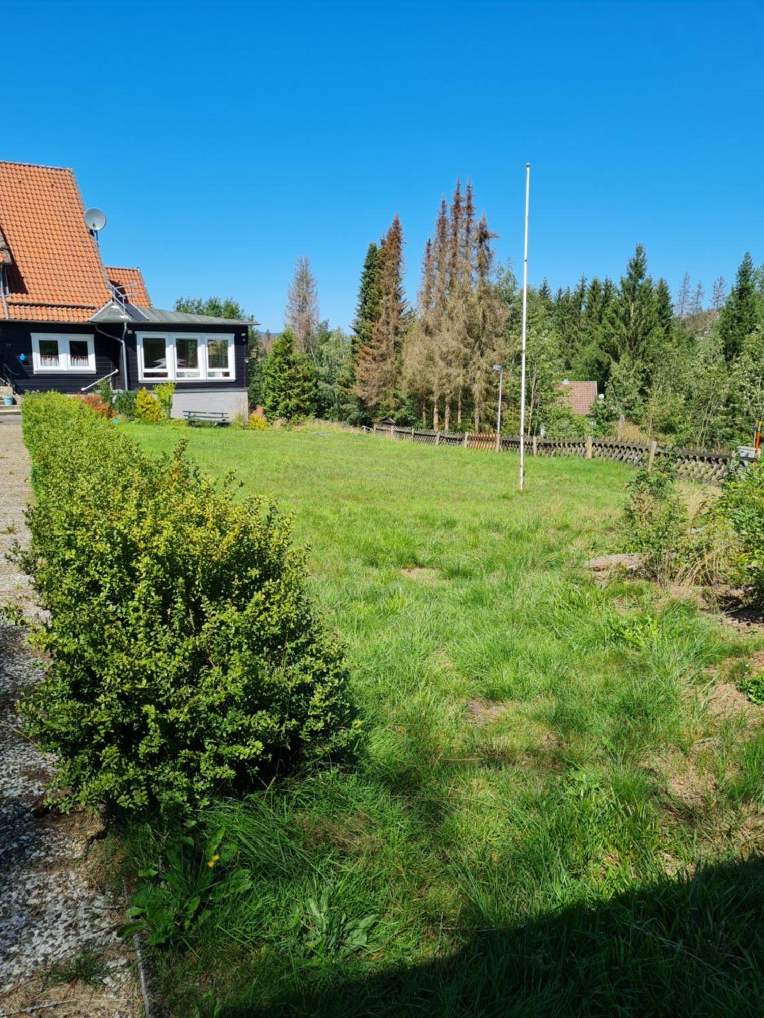 Welt Lodge Altenau  Exterior foto