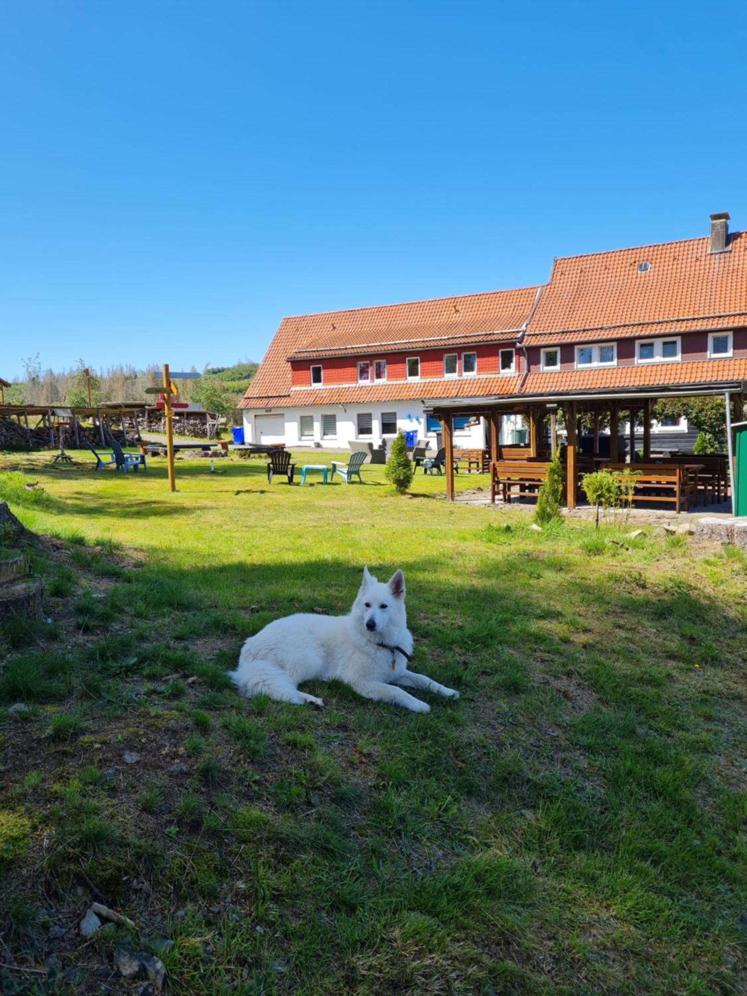 Welt Lodge Altenau  Exterior foto