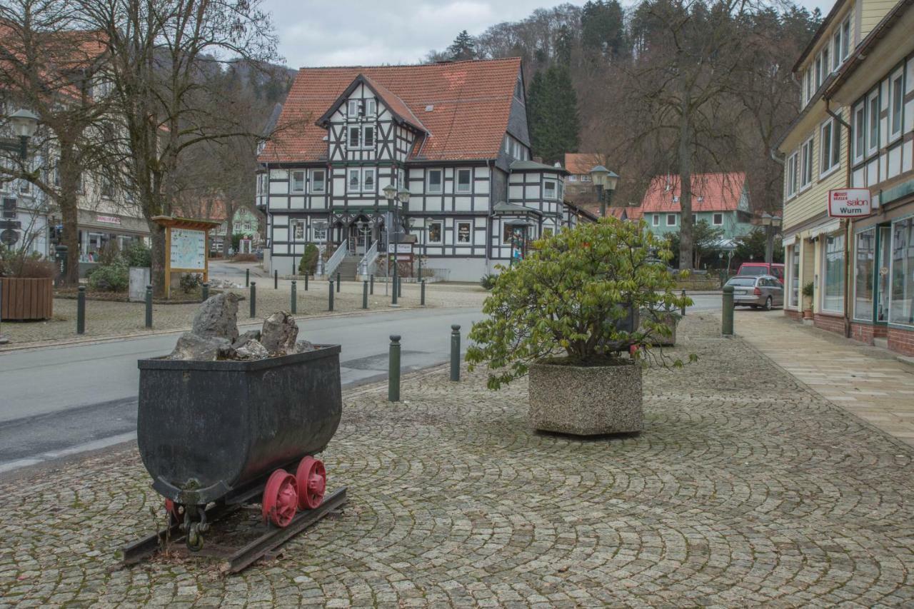 Welt Lodge Altenau  Exterior foto